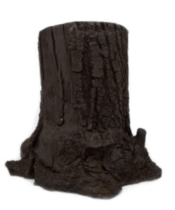 Hidden Spy 4K UHD Camera DVR on Tree Stump | Outdoor Hidden Camera